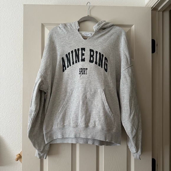Anine Bing Sport Harvey Hooded Sweatshirt - Picture 1 of 5